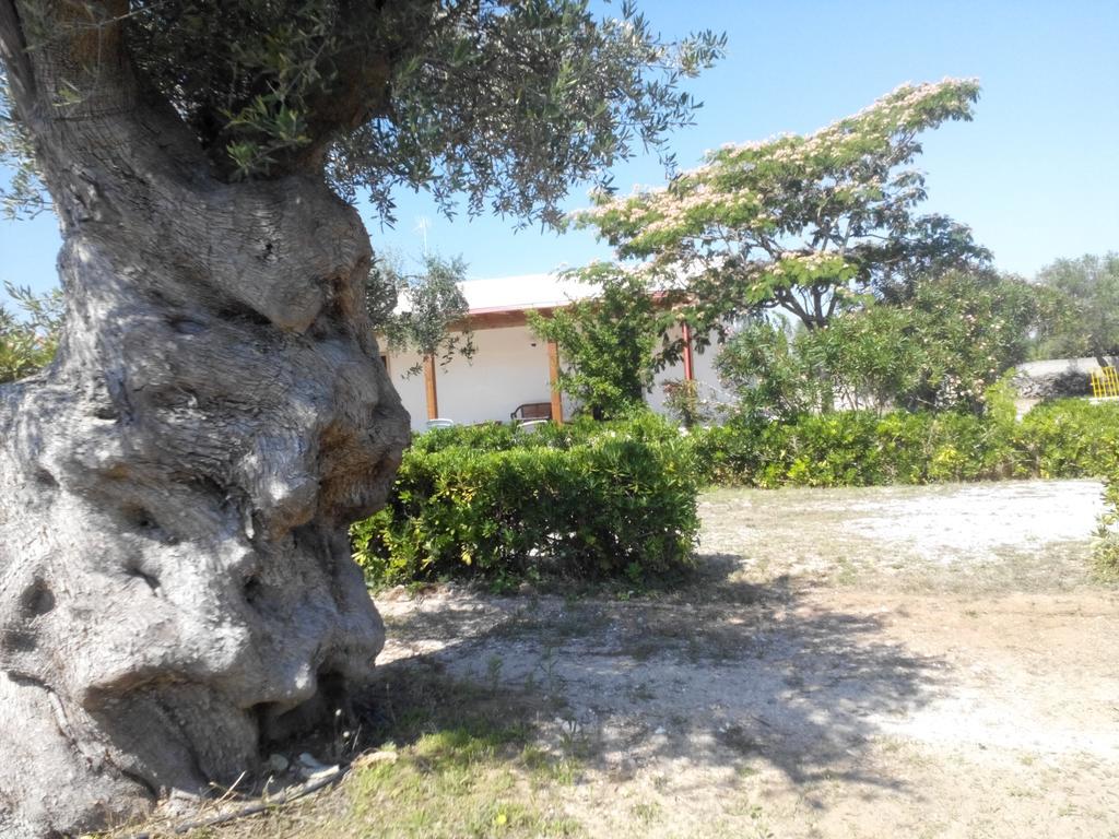 Agriturismo Villa Tommaso Torre dell'Orso Eksteriør bilde